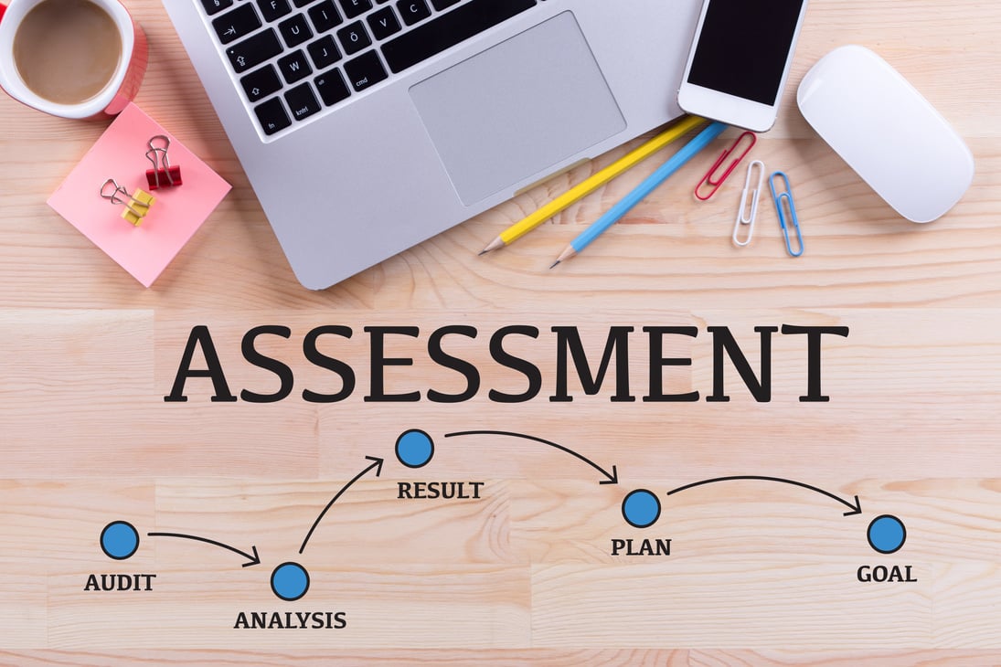 ASSESSMENT MILESTONES CONCEPT